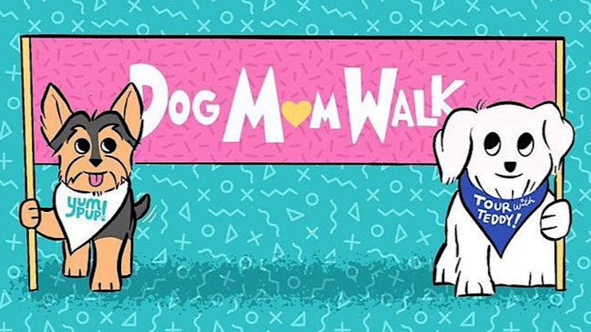 dog mom walk