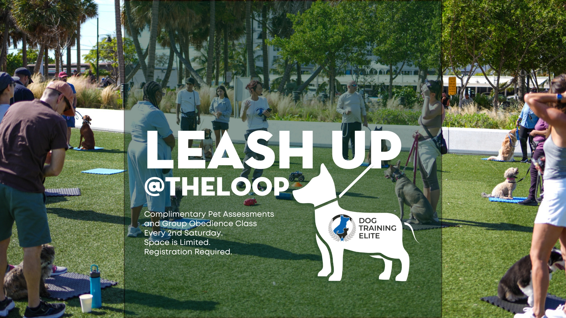 Leash Up at The LOOP