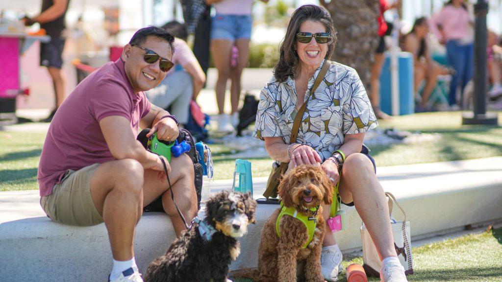 pet friendly fort lauderdale beach